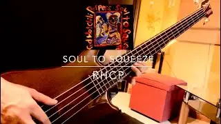 Soul to Squeeze - RHCP - Bass Cover - 2023 PH