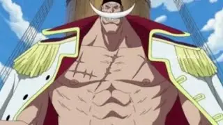 The One Piece is Real!!