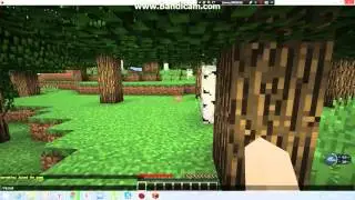 Проблемы с Server.pro ? Решим!