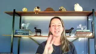 PRINCÍPIOS BÁSICOS PARA CRIADOR DE OVELHAS| CARLA D'ANCORA DIAS