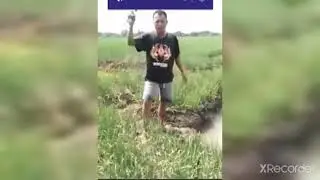 Petani bawang kecewa
