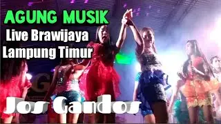 Agung Musik Lampung Timur...live Brawijaya