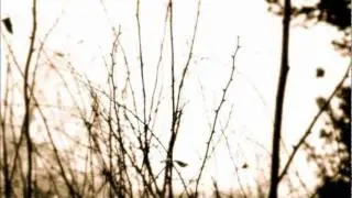 The Silence of a Whisper - Happy and Sad Times
