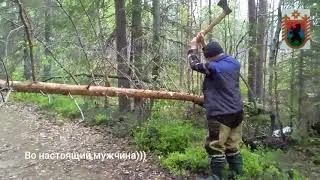 2 июня 2021 г.