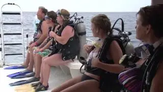 Discover Scuba
