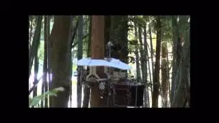 Pruning Robot