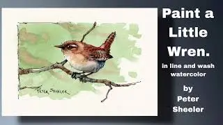 Easy little Wren and Wet into Wet background in Watercolor Great for Beginners. Peter Sheeler