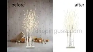 Professional Clipping Path Service   Clipping USA