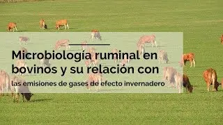 Microbiología ruminal en bovinos y su relación con emisiones de gases de efecto invernadero