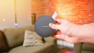 Google Home Mini - 48 Hours Later!