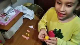 Novas Poly