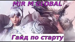 Mir M Global Подготовка к старту! Гайд для Новичков