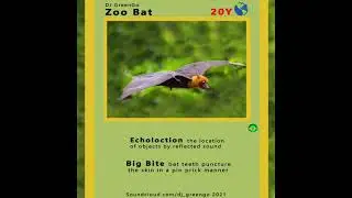 Zoo Bat