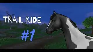Steve's Farm Hack | Teagan Breezelight | Star Stable