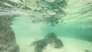 R younker - Summer in Cornwall ( Travel Vlog Music Video )