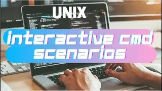 UNIX important interactive cmd 'read' scenarios in bash | Most asked interview question in UNIX