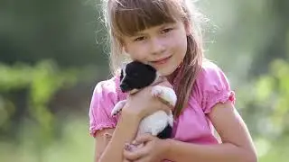 Hayat Denge Modeli Tanıtım Video Klip 2022 | Birikim Okulları