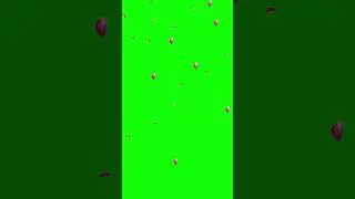 Falling Flower Green Screen 2023 | Rose Flower Green Screen