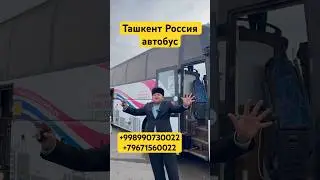 Ташкент Краснодар автобус, Ташкент Москва автобус, Ташкент Казань автобус, Ташкент Новосибирск 2024