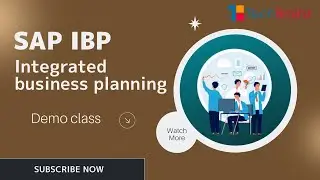 What Most People Don't Know About SAP Integrated Business Planning Training | TechBrainZ