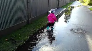 08.10.2017 pelke