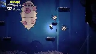 Hollow Knight 