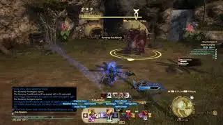 FFXIV Speedrun Solo ( Brayflox's Longstop 3:36) WR