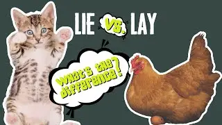 Lie 🆚 Lay #whatsthedifference #whiterabbitenglish