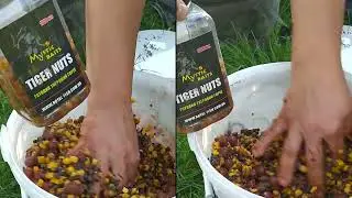 Mystic baits