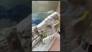 В аквариуме заказчика.