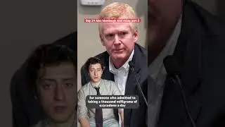 Part 2: #alexmurdaugh  gave 3 reasons why he lied about going to the #kennels  #shorts