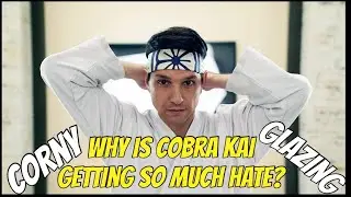 Why is cobra Kai getting so much hate?