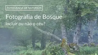 Fotografia de NATUREZA | Fotografia de Bosque | INCLUIR OU NÃO O CÉU?
