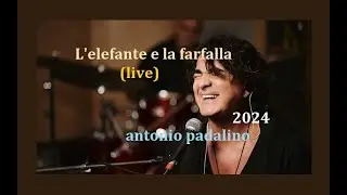 L'ELEFANTE E LA FARFALLA (live)                    antonio padalino