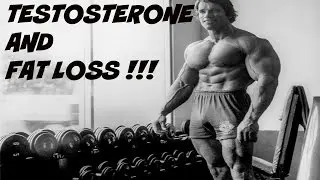 HOW TESTOSTERONE BURNS FAT !!! episode 1