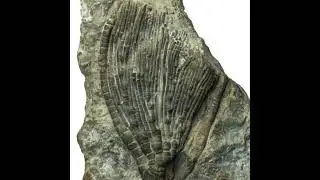 Mike Howe on the UK National Geological Repository