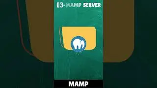 List Of Local Server YouTube Short|Local Server For Wordpress|Wordpress Learning|local host