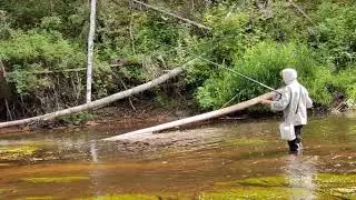 Вы - рыбачки, я - рыбак ...