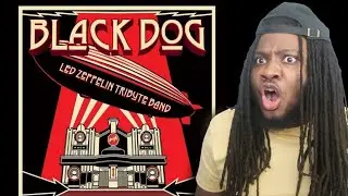 LED ZEPPELIN - BLACK DOG  REACTION