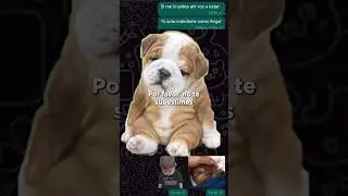 Tú brillas más cuando no te rindes ✨