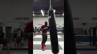 kickboxing/muay thai heavybag