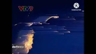 VTV9 - Hình Hiệu VTV9 (Bản Chính) (2013-2014) (1) | Đài Truyền Hình Việt Nam