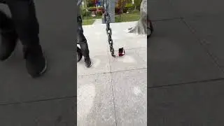 Anjing kecil dengan rantai besar😂 #shorts #viral #fyp