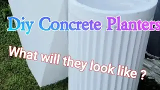 DIY Large Designer Concrete Planters