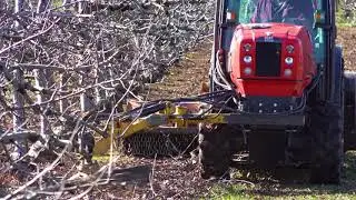 Berti Orchard Mulcher | TFB-Y - Hugh Topp
