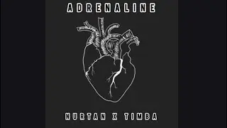 NURTAN x TIMBA - ADRENALINE | demo version 2021 |