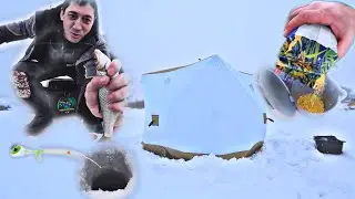 ПОСТАВИЛИ ПАЛАТКУ, ЗАКОРМИЛИСЬ и ОНА ПРИПЛЫЛА!!! +РЕЦЕПТ ТЕСТА