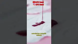 Dangers of Having Sex During Menstruation 