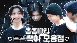[스트레이키즈/필릭스] 쫌쫌따리 흑발뽁이🐈‍⬛ 모음zip