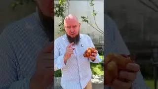 Как вкусно есть! Круассан 🥐 Часть 2️⃣